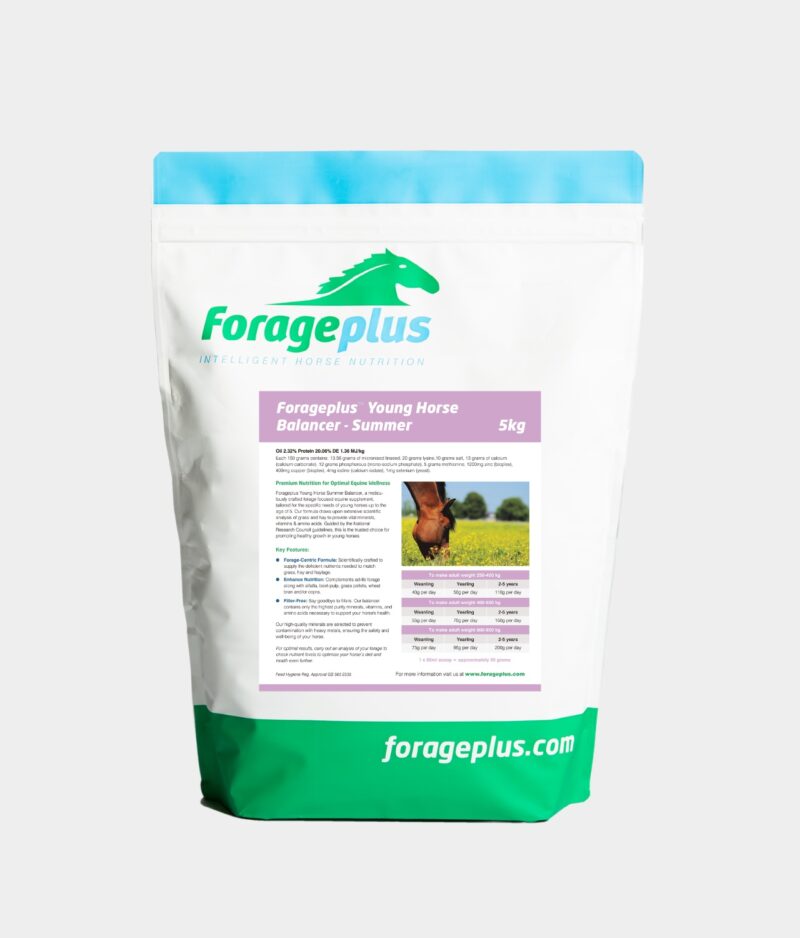 A 5kg pouch of Young Horse Summer Balancer on a grey background