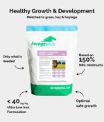 A pouch of Forageplus Young Horse Summer balancer along with listed benefits on grey background.