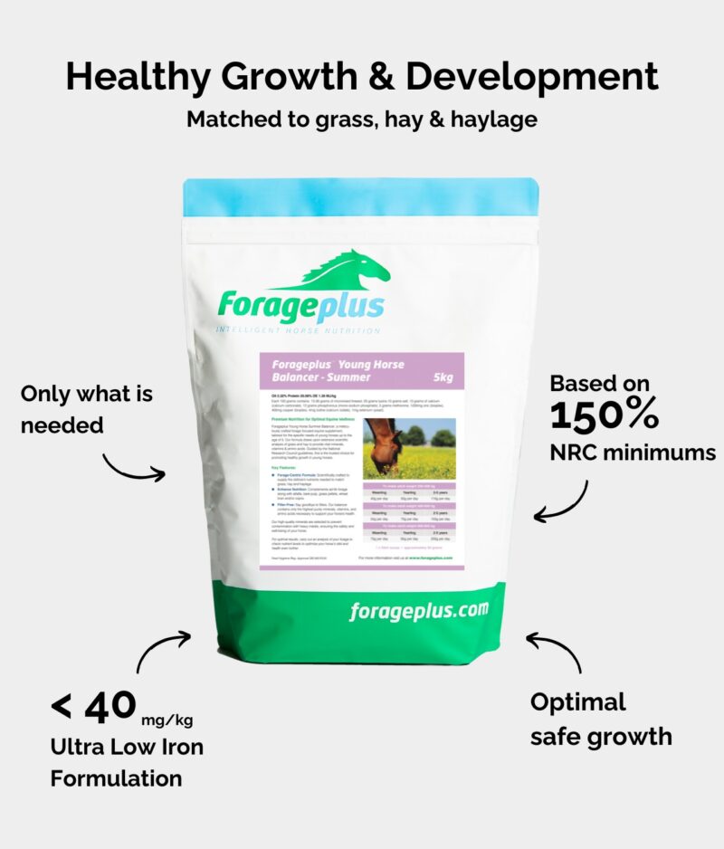 A pouch of Forageplus Young Horse Summer balancer along with listed benefits on grey background.
