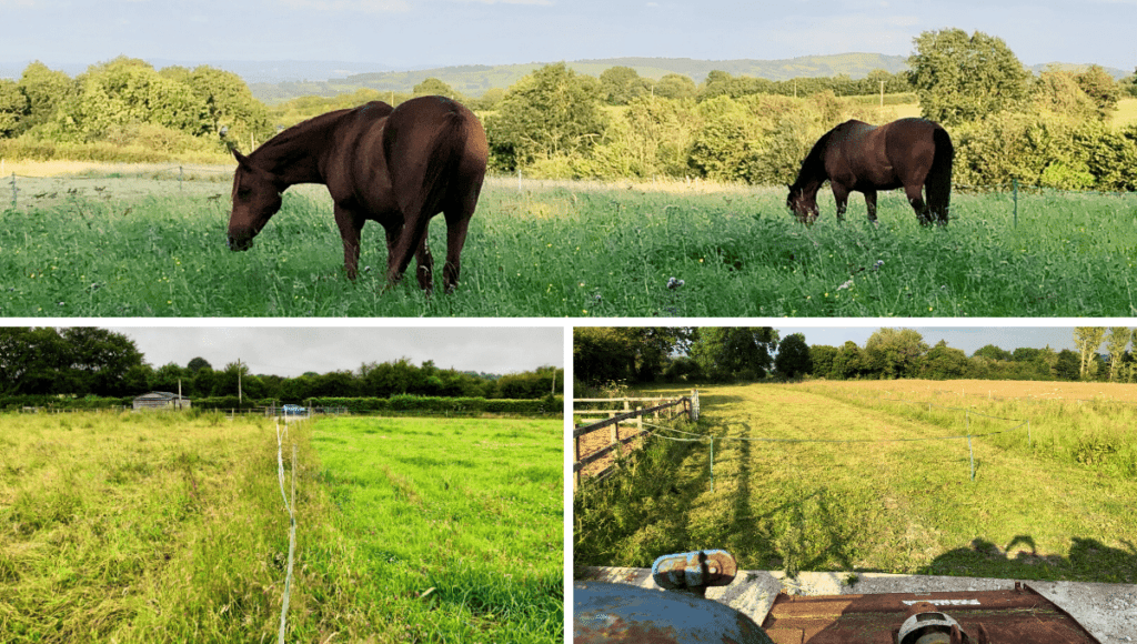 rotational grazing