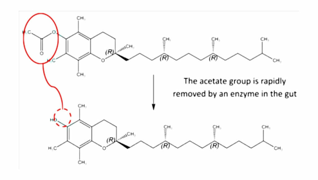vitamin e - acetate group