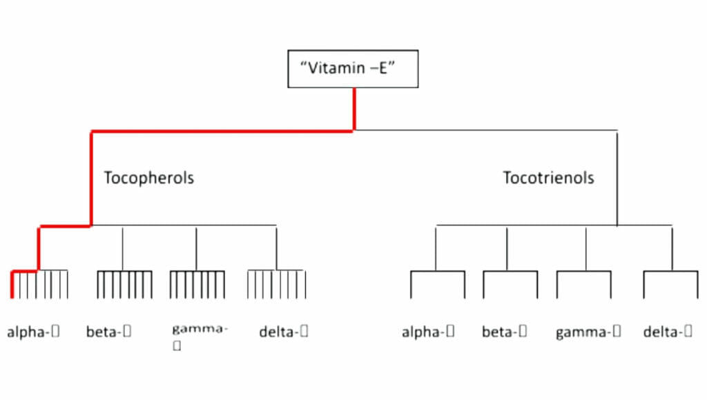 vitamin e tocopherols - tocotrienols