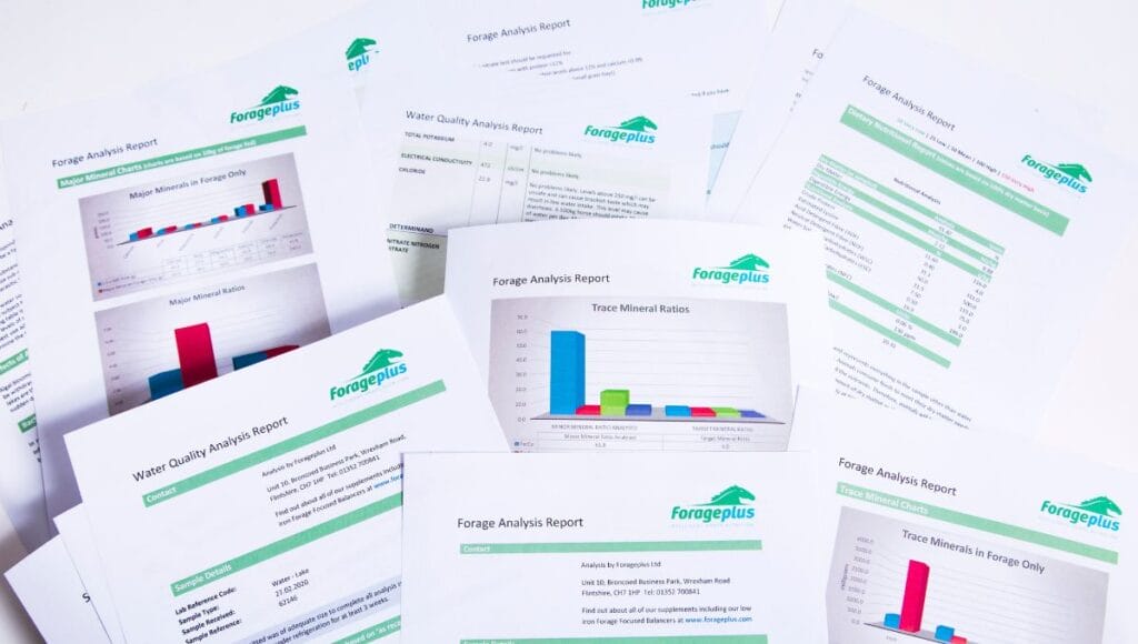 Horse Analysis Water Mineral Nutritional Soil