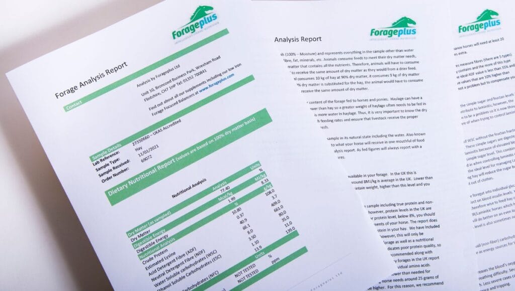 Nutritional Analysis Horse Hay