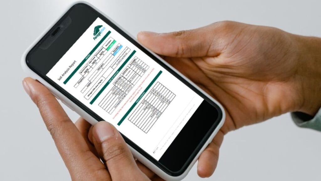 Soil Analysis for Horse Pasture