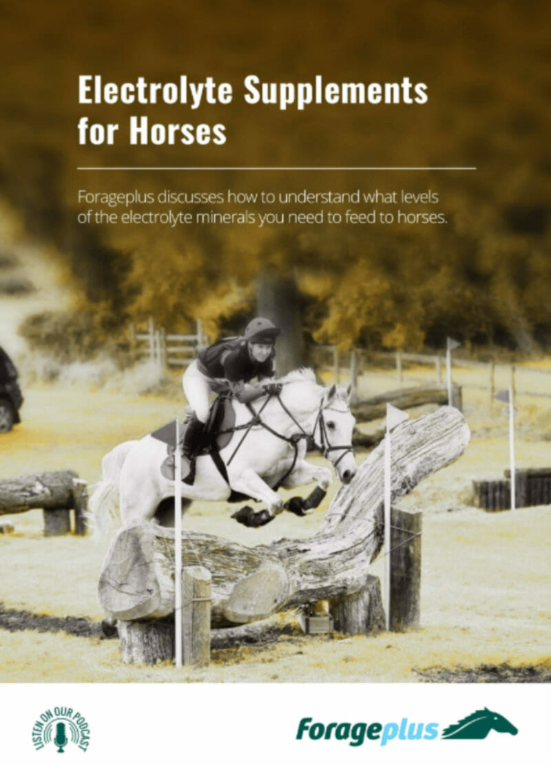 Electrolyte Supplements for Horses - eBook