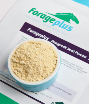 A close up image of our organic fenugreek powder for horses.