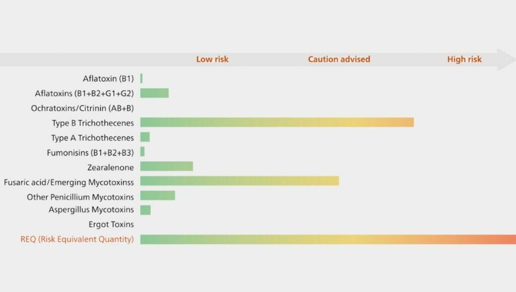 A chart showing the risk equivalent quantity (REQ) for various mycotoxins.