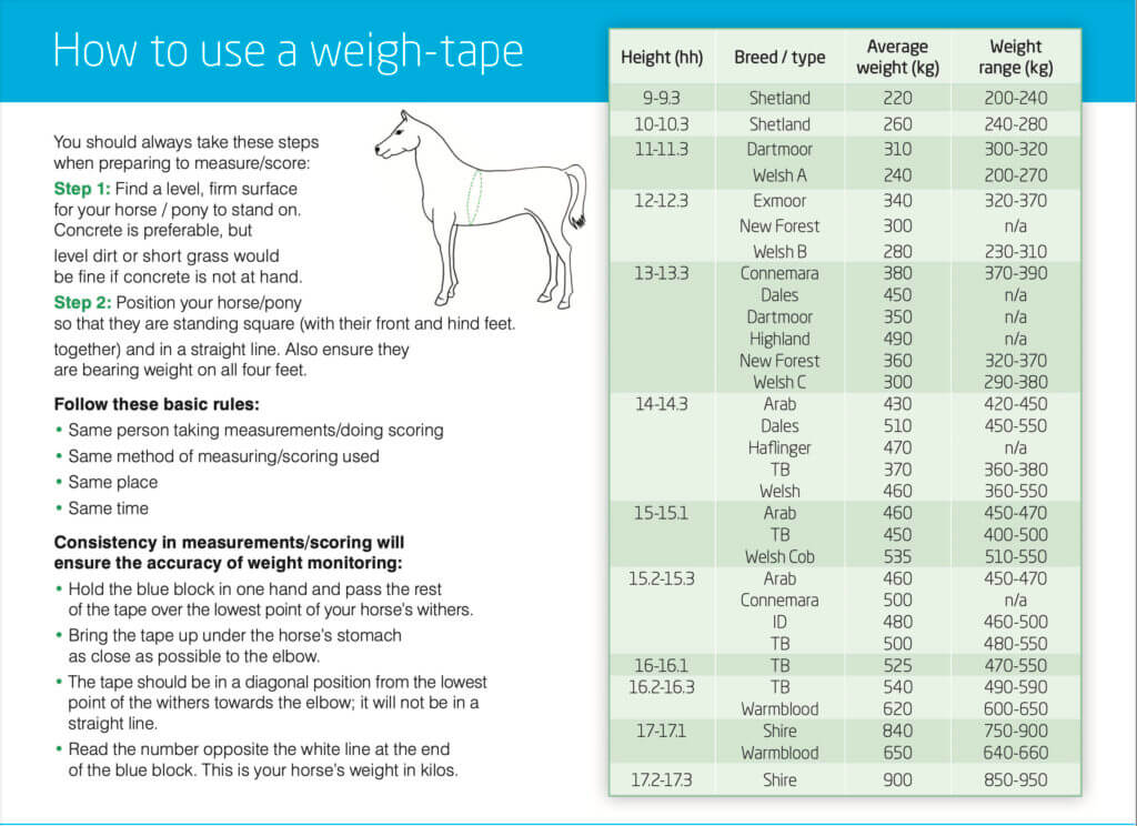 How to use a horse weigh tape