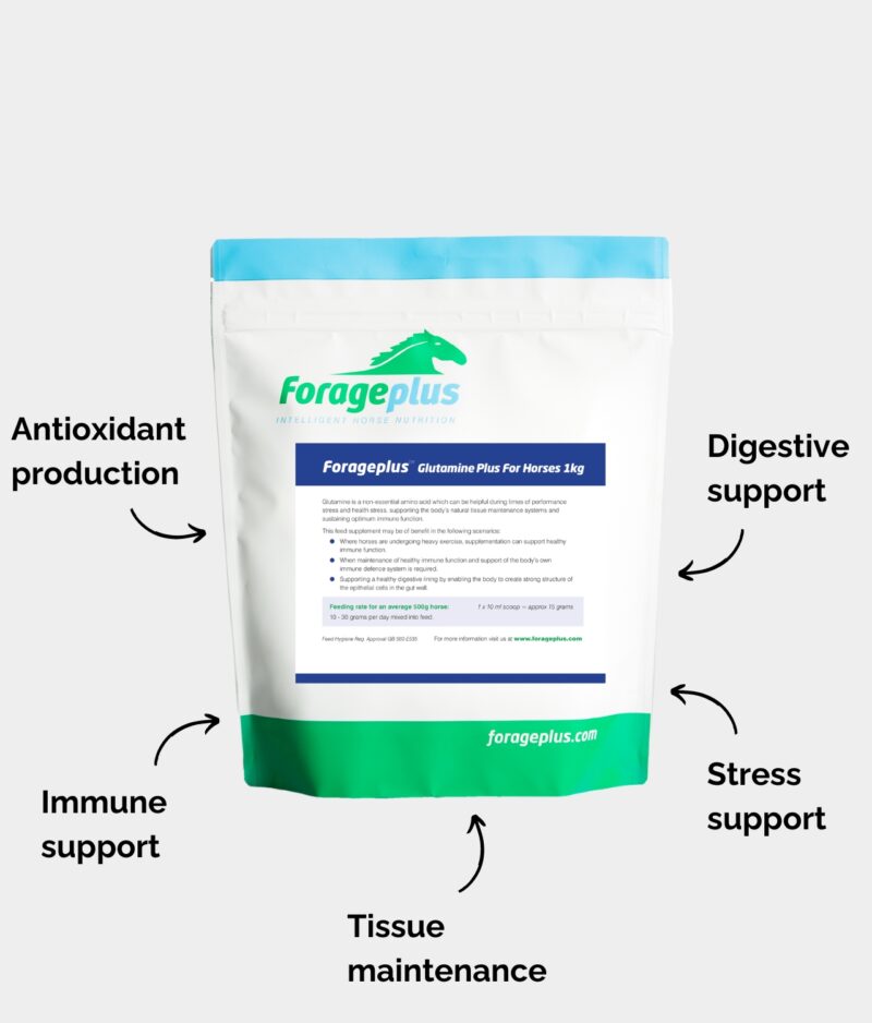A 1kg pouch of Forageplus Glutamine Plus along with a list of its potential health benefits.