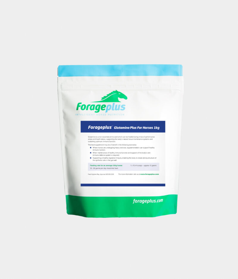 A picture of Forageplus Glutamine Plus, L-Glutamine supplement for horses.