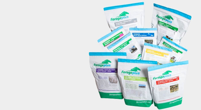 A collection of forage focused horse feed balancers on a light grey background.