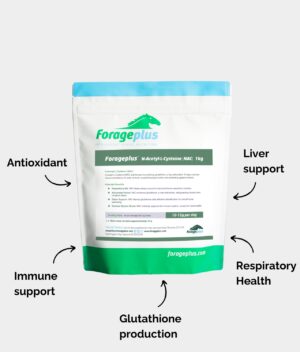 A pouch of Forageplus NAC for horses along with listed potential health benefits.