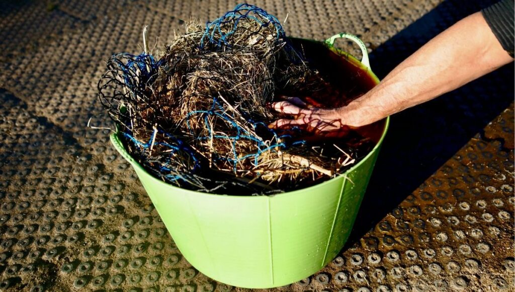 Soak Horse Hay