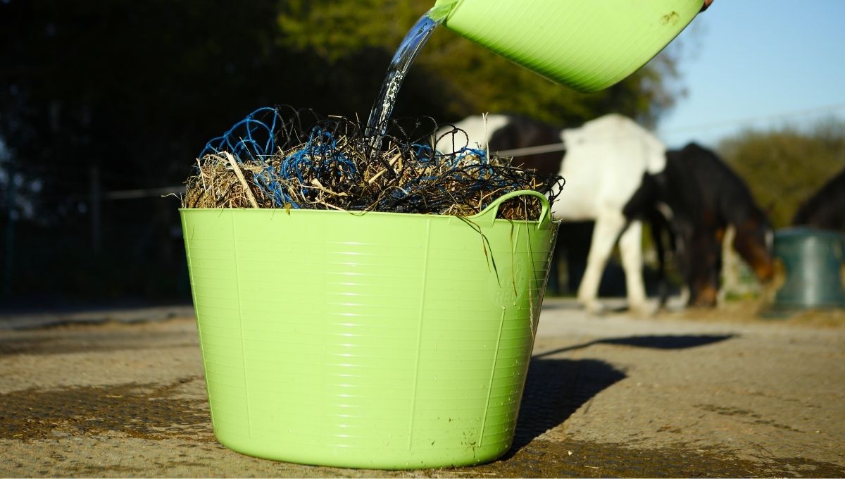 Soaking Horse Hay Ultimate Guide