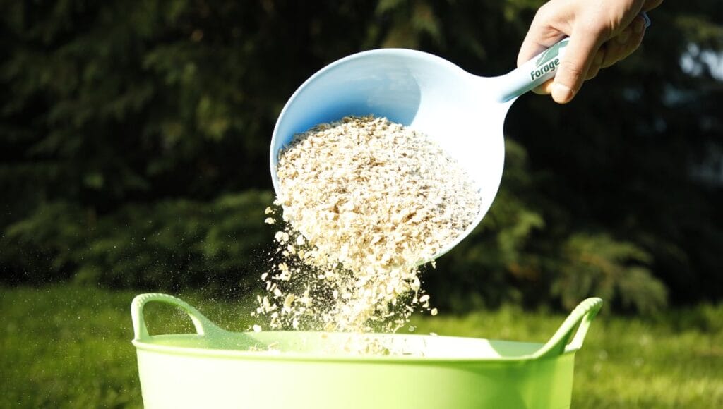Scoop of Flaked Horse Oats