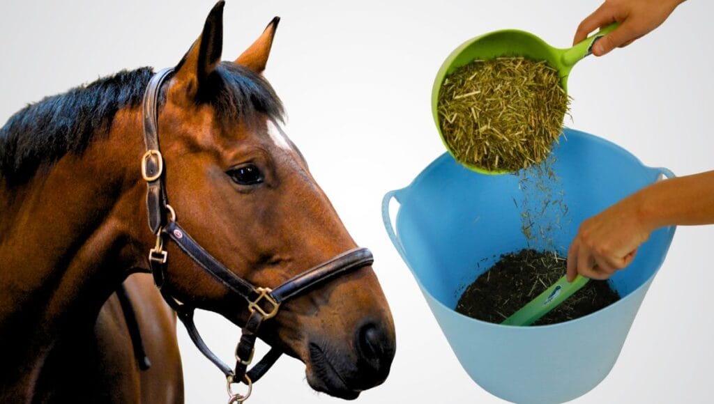 Mixing horse chaff into bucket feed