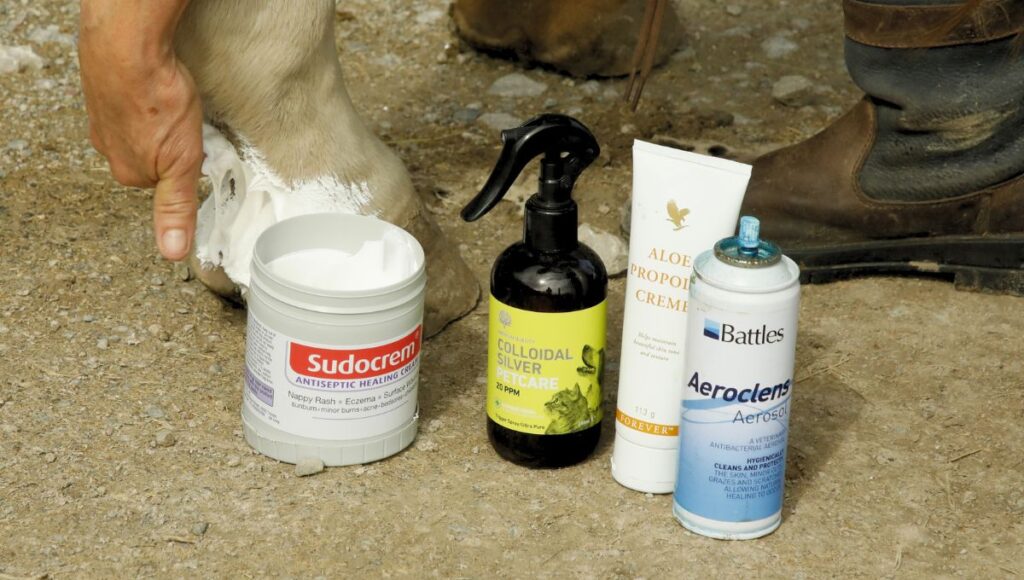 Different treatments for horse mud fever
