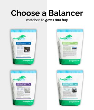 A selection of the available Forageplus Balancers on a grey and white background.