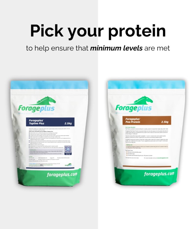 A selection of Forageplus Protein options on a white and grey background.