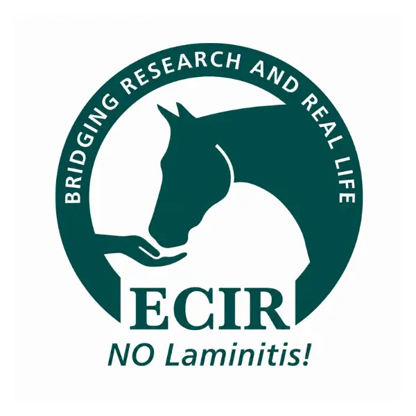 ECIR Group