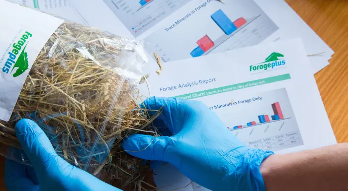 Forageplus Analysis Category Image