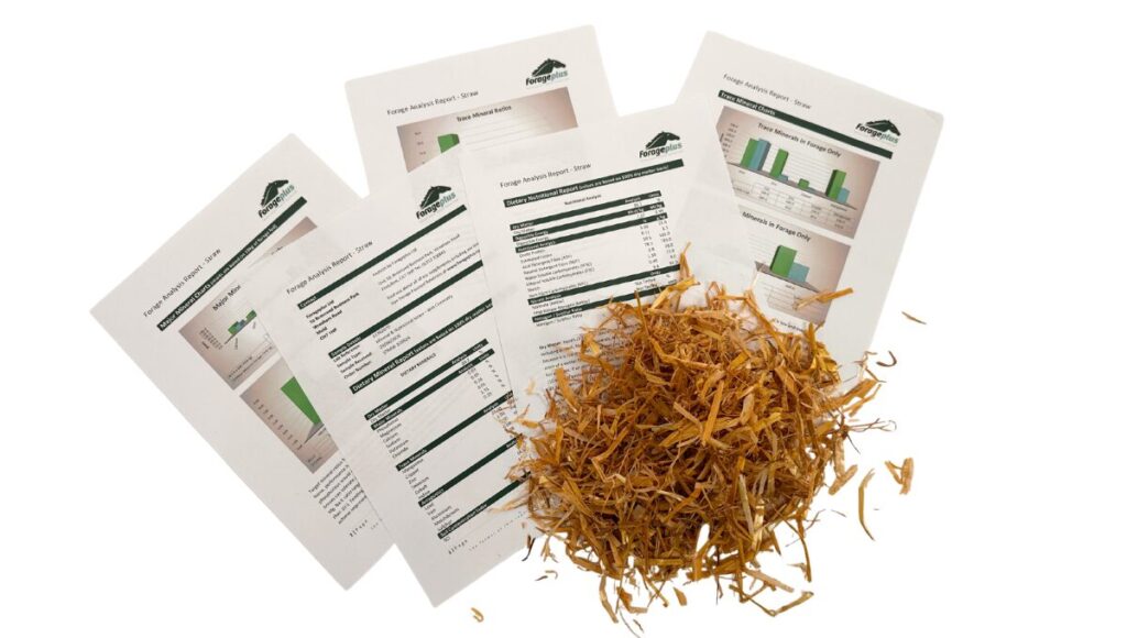 Straw for horses and analysis reports