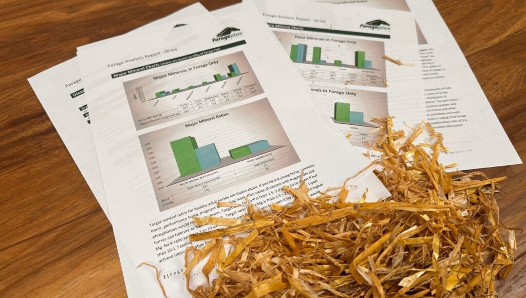 Documents with graphs and straw scattered.
