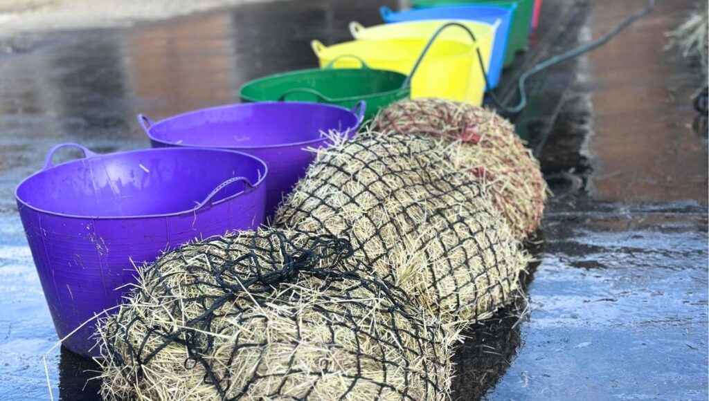 Why Equine Nutrition Advice Takes Time to Change 4 Soaking hay for horses - hay nets and buckets with hose pipe